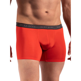 Boxer RED2264