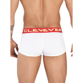 Boxer latin Trend