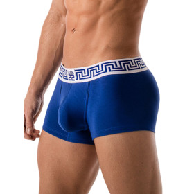 Boxer Blue Rome