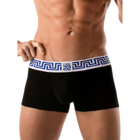 Boxer Blue Rome