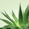Mixgliss Gel de massage - NU Aloe Vera - 250 ml