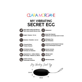My vibrating secret egg - Noir