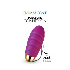Pleasure connexion Violet - Oeuf vibrant