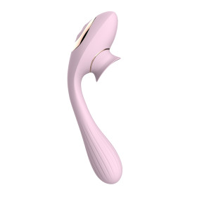 2 en 1 Stimulateur de clitoris avec langue et vibromasseur pour G USB flexible rose DISA - WS-NV025PNK