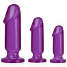 ANAL STARTER KIT PURPLE