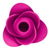 Modern Blossom Pro 2 Satisfyer - Rose