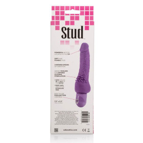 CALIFORNIA EXOTICS - VIBRATEUR VIOLET POWER STUD CLITERRIFIC