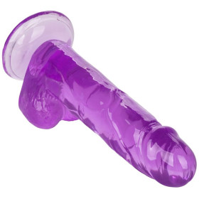 CALIFORNIA EXOTICS - GODE REINE TAILLE VIOLET 15.3 CM