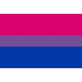 PRIDE - BRACELET DRAPEAU BISEXUEL 90 X 150