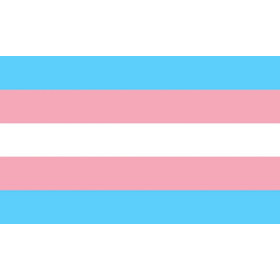 FIERTÉ - DRAPEAU TRANSEXUEL 90 X 150