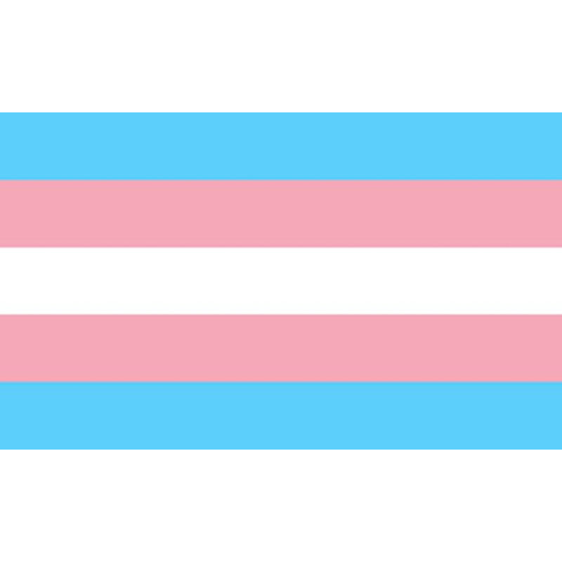 FIERTÉ - DRAPEAU TRANSEXUEL 90 X 150