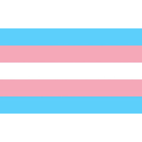 FIERTÉ - DRAPEAU TRANSEXUEL 90 X 150