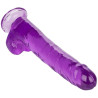 CALIFORNIA EXOTICS - GODE REINE TAILLE VIOLET 25.5 CM