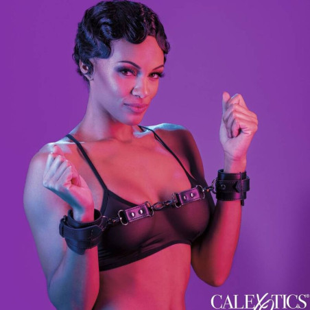 CALIFORNIA EXOTICS - EUPHORIA MENOTTES