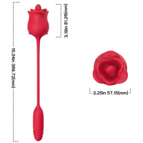 ARMONY - STIMULATEUR ROSE & VIBRATEUR COLA ROUGE