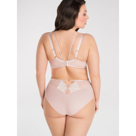 Culottes model 197795 Gorsenia Lingerie