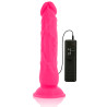 DIVERSIA - DILDO VIBRANT FLEXIBLE 21 CM - ROSE