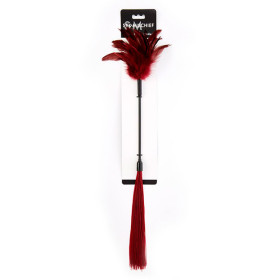 Enchanted Feather Tickler