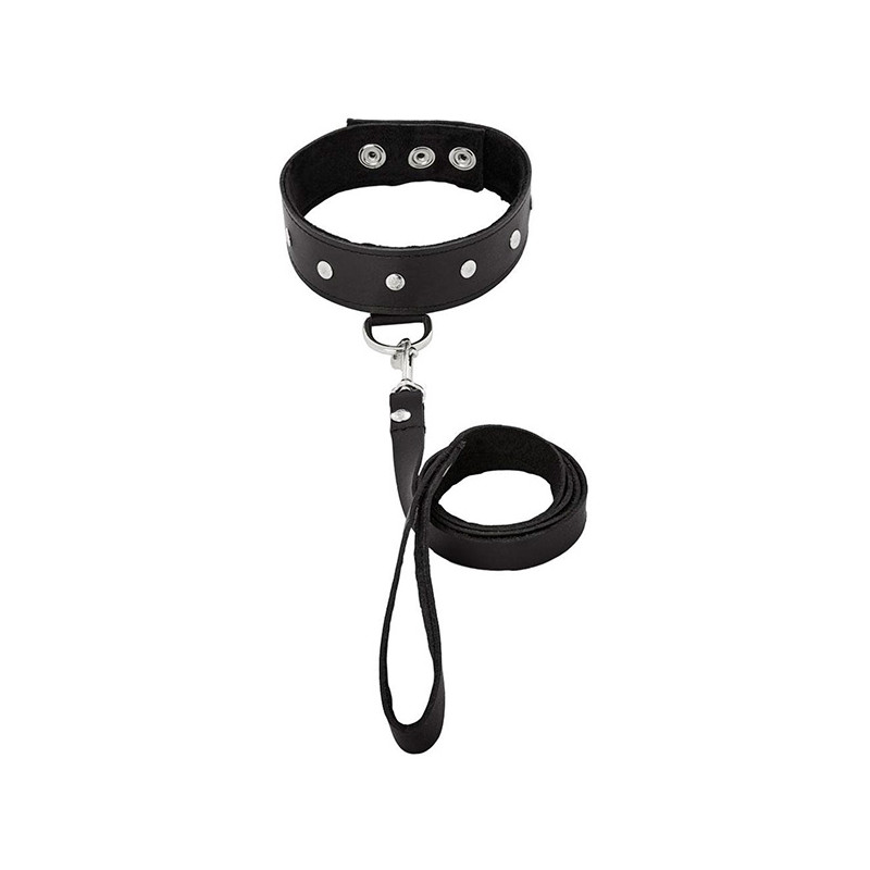 LEATHER LEASH & COLLAR