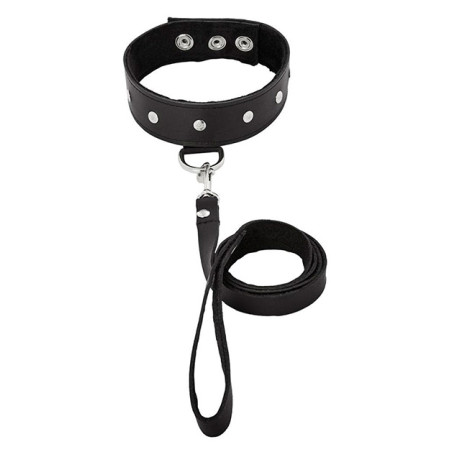 LEATHER LEASH & COLLAR