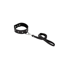 LEATHER LEASH & COLLAR