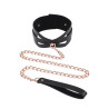 S&M Brat Collar & Leash