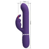 PRETTY LOVE - COALE VIBRATEUR  RABBIT 4 EN 1 VIOLET