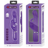 PRETTY LOVE - COALE VIBRATEUR  RABBIT 4 EN 1 VIOLET