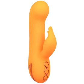 CALEXOTICS - MONTECITO MUSE VIBRATEUR LAPIN ORANGE PAR CALIFORNIA DREAMING