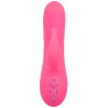 CALEXOTICS - SACRAMENTO SWEETIE VIBRATEUR LAPIN ROSE PAR