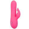 CALEXOTICS - SACRAMENTO SWEETIE VIBRATEUR LAPIN ROSE PAR