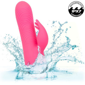 CALEXOTICS - SACRAMENTO SWEETIE VIBRATEUR LAPIN ROSE PAR