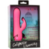 CALEXOTICS - SACRAMENTO SWEETIE VIBRATEUR LAPIN ROSE PAR