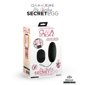 My vibrating secret egg - Noir