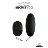 My vibrating secret egg - Noir