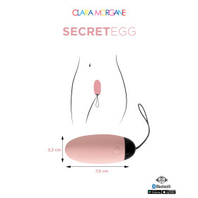 My vibrating secret egg - Rose