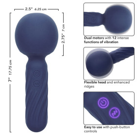 CALEXOTICS - CHARISMA SEDUCTION MASSEUR 12 FONCTIONS 17,75 CM X 6,25 CM VIOLET