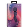 CALEXOTICS - CHARISMA ALLURE MASSEUR DOUBLE MOTEURS 12 FONCTIONS 17,25 CM X 4,5 CM VIOLET