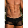 Boxer noir rayé opaque et transparent - LM2906-67BLK