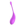 2en1 Stimulateur clitoridien à picots par aspiration avec son œuf vibrant à distance violet - 0-B0009PUR
