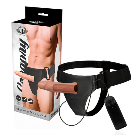 HARNESS ATTRACTION - GREGORY HOLLOW RNES AVEC VIBRATEUR 16